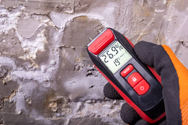 Best Insurance-Related Mold Remediation in La Blanca, TX