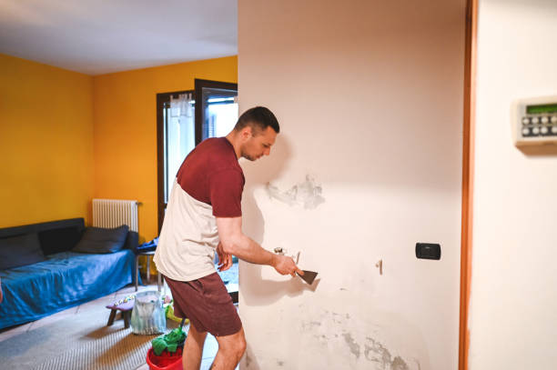 Best Basement Mold Remediation in La Blanca, TX